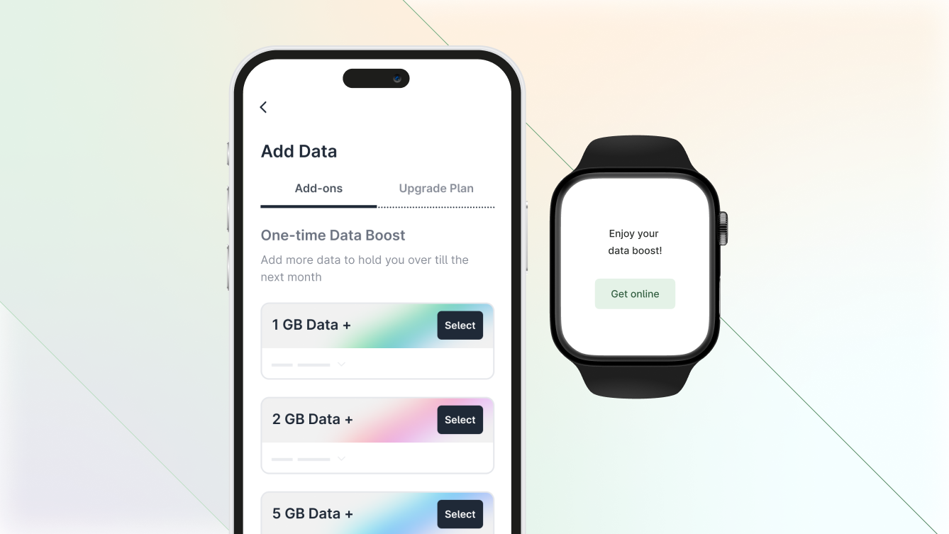 Telecom OSS/BSS Upgrade